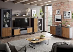 Outlet Elfo TV-Lowboard Stella Anthrazit / Eiche