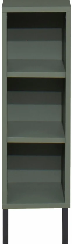 Mäusbacher Unterstellregal Ole Pine Green