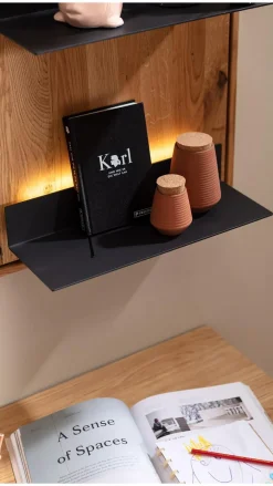 CASEDO Wandregal Ferrol