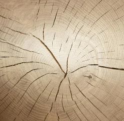 Online Hartmann Wohnwand Caya Eiche