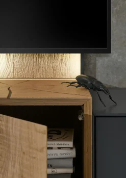 Musterring Wohnwand Trevio